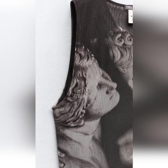 ZARA PRINTED TULLE DRESS - Picture 5 of 5